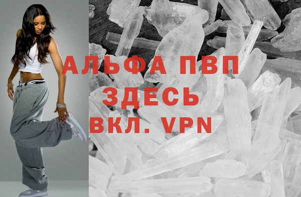 молекула духа Вязьма