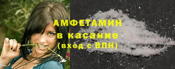 молекула духа Вязьма