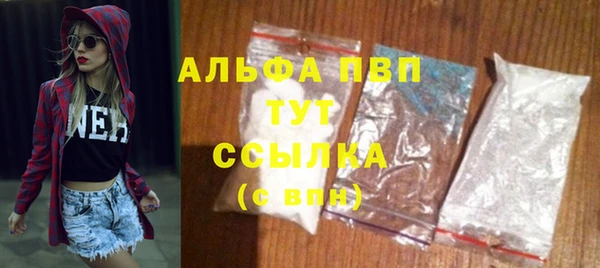 молекула духа Вязьма
