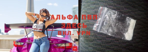 молекула духа Вязьма
