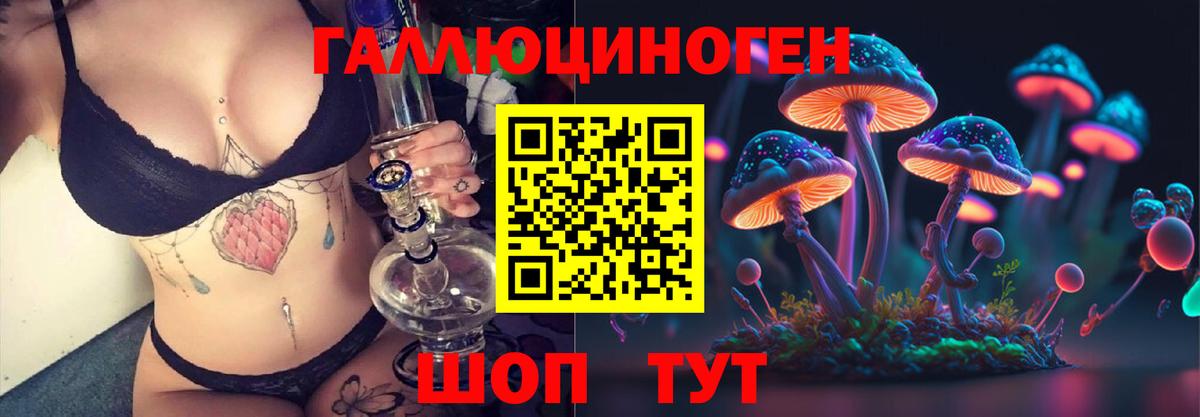 дарнет шоп  Вход с VPN  Моршанск  Галлюциногенные грибы Cubensis 